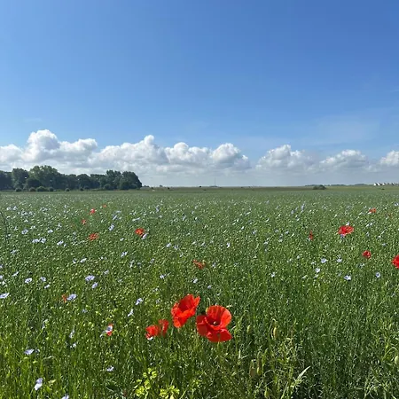 Apartmán L'escapade Bucolique *